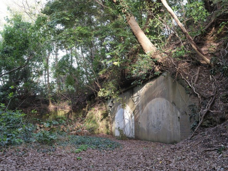 岩盤にへばりつくようにしてある掩蔽部。小さな崖かと思ったら突如として人工物が現れるので油断できない。