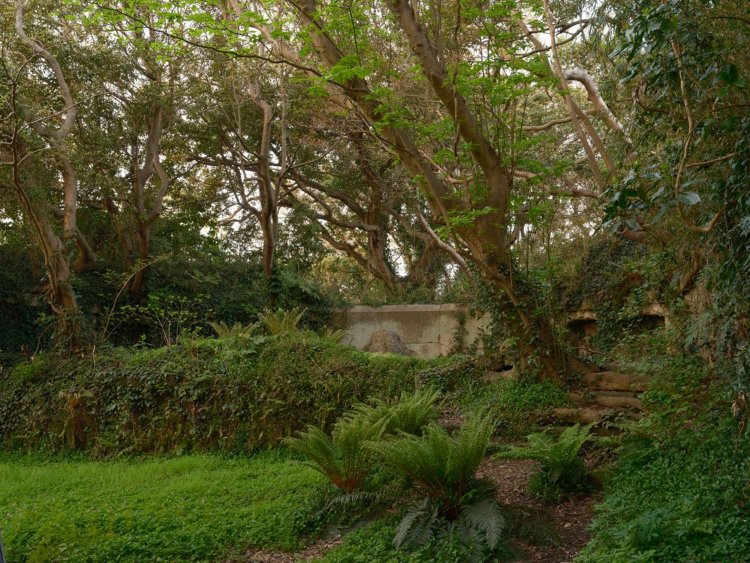 分かりづらいが一段上がったところが砲座部分。階段も植物と土に覆われていて滑りやすい。