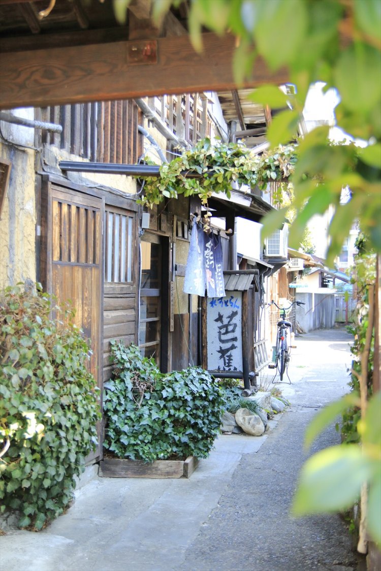 店先では手入れの行き届いた植物が青々と育つ。