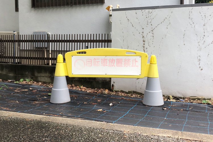 Yellow hats《黄色い帽子》