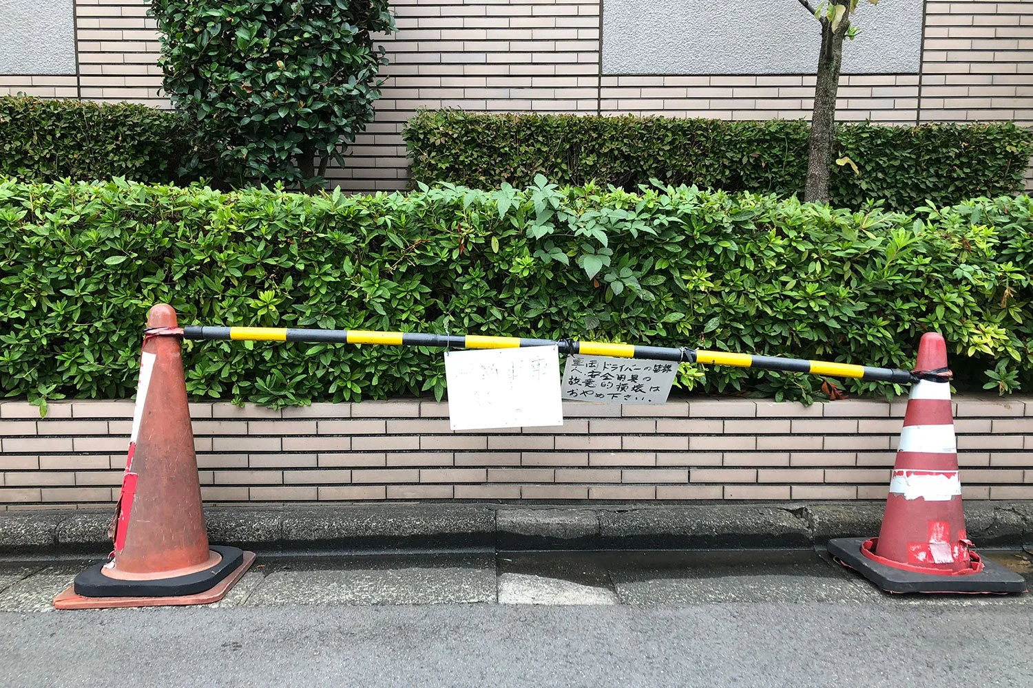 目立つための色と形 無言コーン は雄弁なり 無言板 さんたつ By 散歩の達人