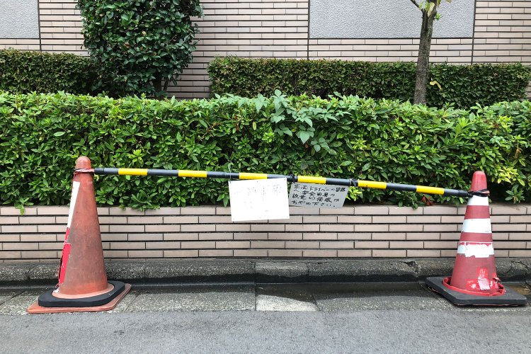 Palanquin of cones《コーンのかごや》