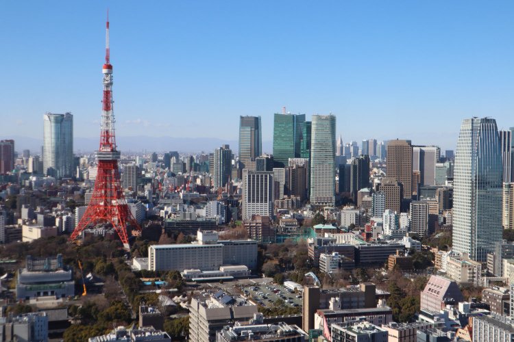 「シーザイドトップ」からの展望。