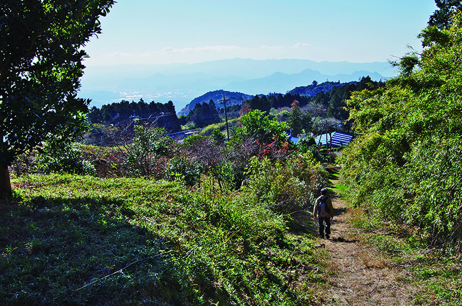 旧道を降りていくと三島の市街が見えてくる。