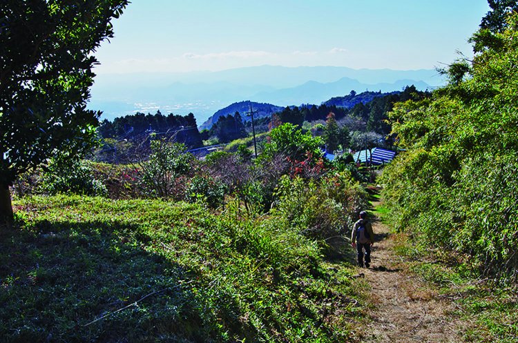 旧道を降りていくと三島の市街が見えてくる。