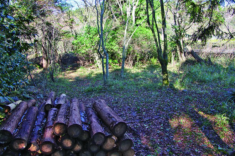 昭和45年（1970）まで無料で東海道を行き来する人を接待した茶屋跡。江戸時代から始めて明治維新で一度中断し、明治12 年（1879）から再び始めたという。