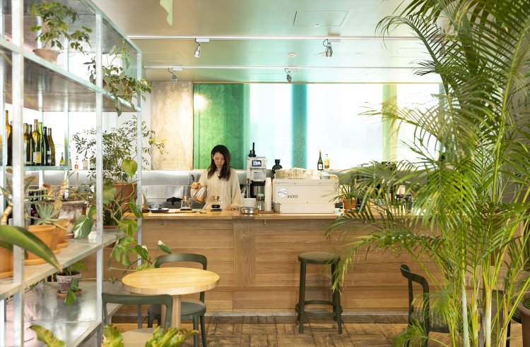 大きなビロウヤシの他、植栽に囲まれてひと休み。すりガラスからの日差しも気持ちがいい。