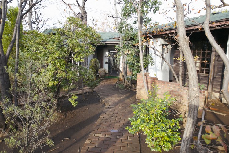 店を囲む庭と木々。木は当初の3分の1に減ったが今も豊か。2月には河津桜も咲く。