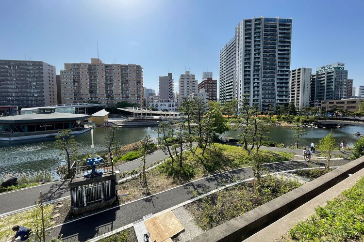 海水を引き込んだ人工池にはボラやハゼが見られる。周囲は緑が豊かで、絶好の散策スポットだ。