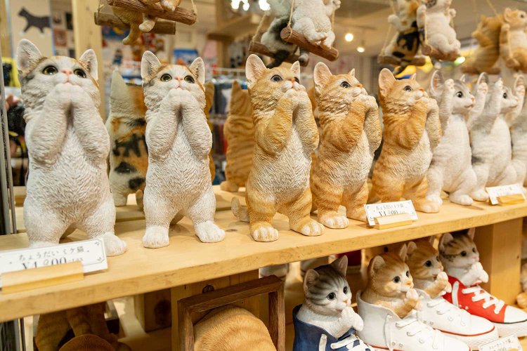 おねだりしている仕草が可愛いですね。