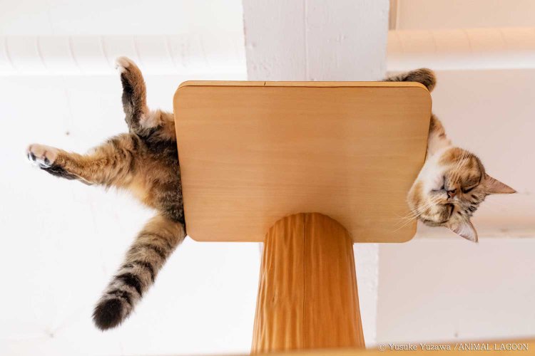 いっぱいはみ出てますよ。