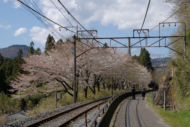踏切跡から、上り線の跡を活用した道が始まる。