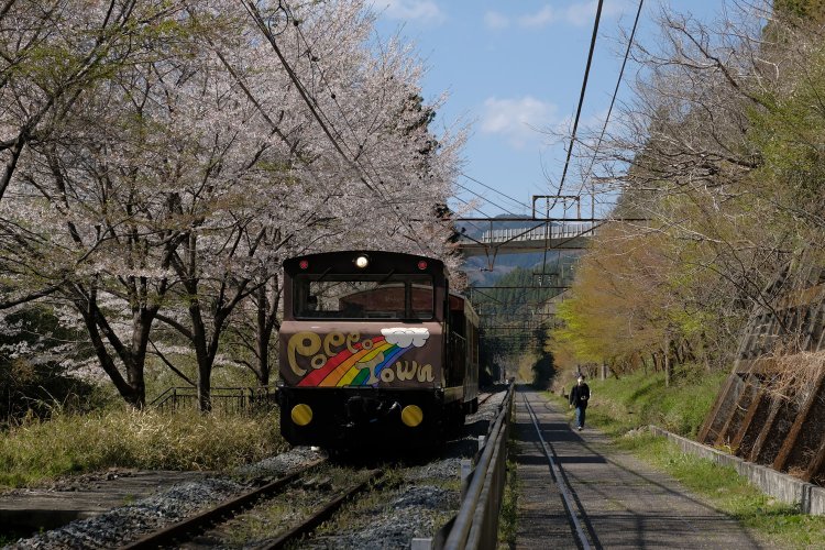 下り線はトロッコ列車の線路として活用。廃線跡が現役というのは、ちょっとややこしい。「シェルパくん」と名付けられた列車が坂を下ってきた。