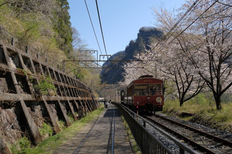 桜の木や擁壁（ようへき）は現役時代から変わらない。架線柱も残され、下り線にはまだ架線も張られており、動態保存されているEF63のために通電している。