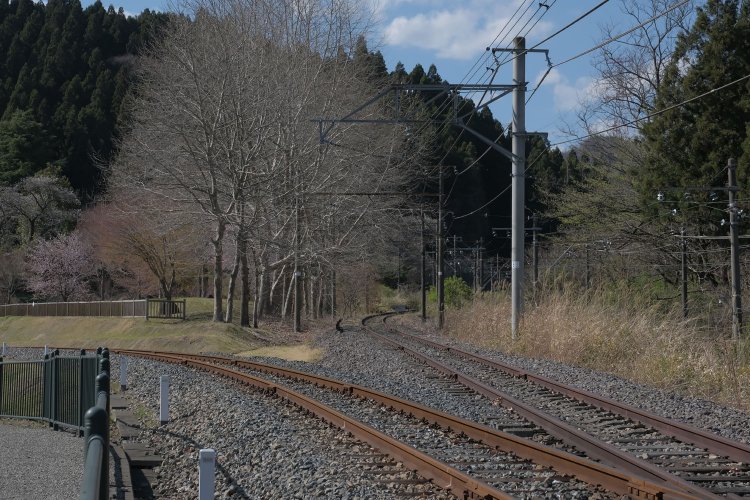 上り線から別れ、現役時代からあった地下道を利用して峠の湯に出る。と、前方にポイントが見えた。左が峠の湯駅へ延びる新設された線路。右は新線跡で、もしトロッコ列車が延伸していたら乗りごたえあっただろう。
