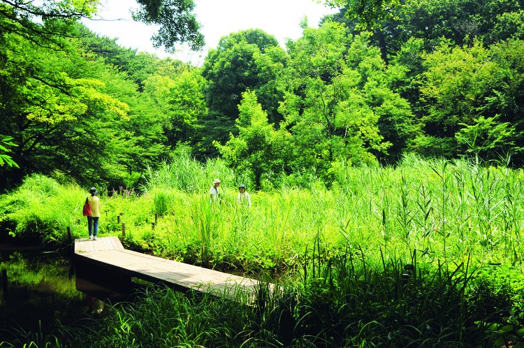 8_自然教育園 (2)