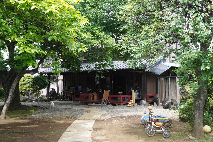 大きな庭にゆったりと立つ。