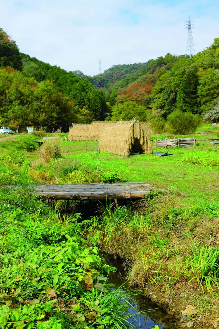 古きよき里山を求め 横沢入と天竺山へ 東京都 あきる野市 東京発日帰り旅 おすすめ散歩コース 東京 さんたつ By 散歩の達人