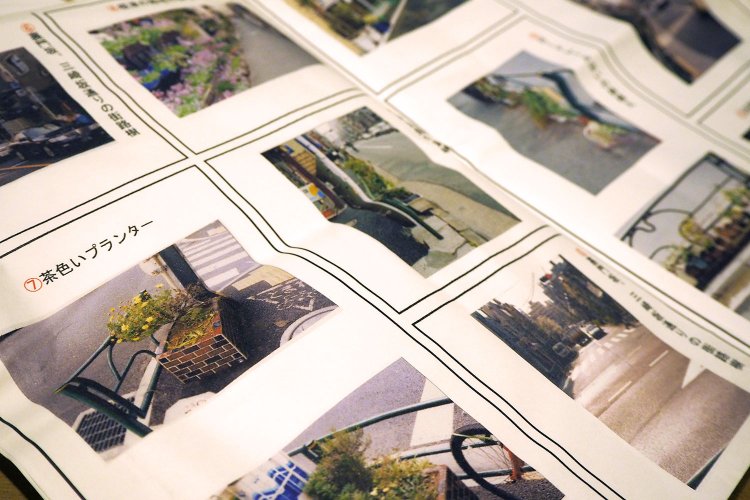 石井さんが撮影した谷根千エリアの緑。