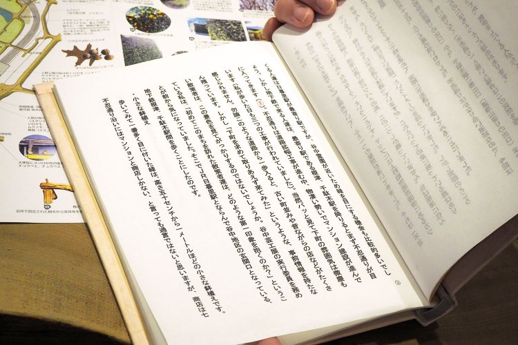 不忍通り沿いを歩き、街路樹や鉢植えの緑、マンションの緑、工事現場の囲いに描かれた緑など様々な形態の「緑」を記録した文章。