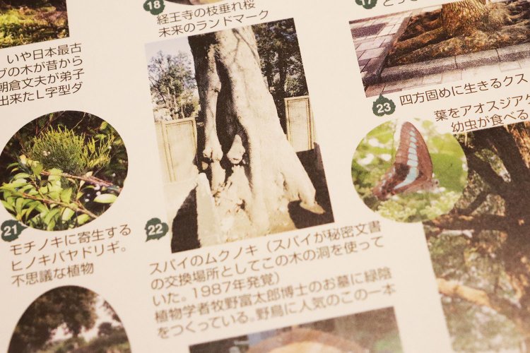 「まちの木霊」より。