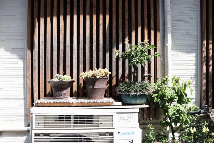 室外機には鉢植えが置かれがち。石井さんによると「片手袋も置かれがち」とのこと。