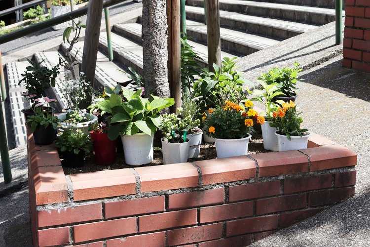 植え込みを彩る色とりどりの鉢に、道行く人が足を止めていく。