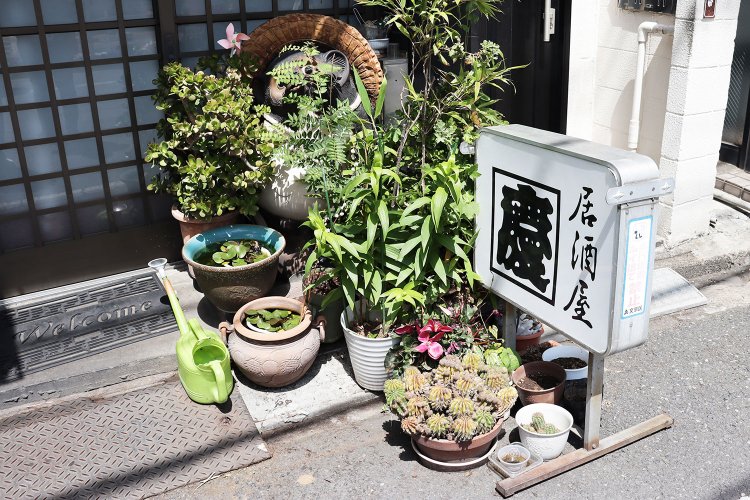 路上園芸ではおなじみ、狸の置物がひっそり佇む。