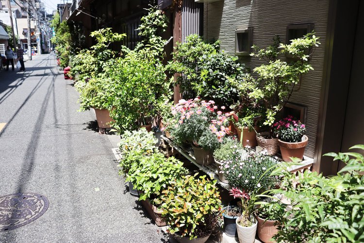 路上園芸ストリート。