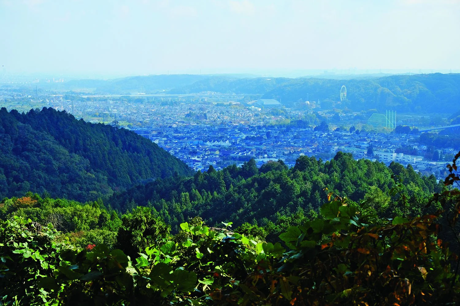 古きよき里山を求め 横沢入と天竺山へ 東京都 あきる野市 東京発日帰り旅 おすすめ散歩コース 東京 さんたつ By 散歩の達人