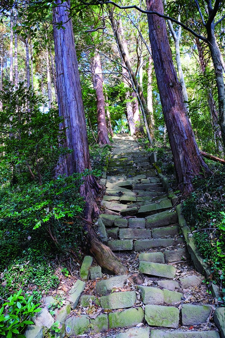 天竺山山頂の下の崩れかけた石段。注意して下ろう。