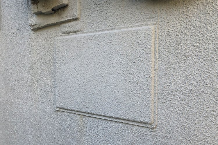 White chameleon on the white wall《白璧に白いカメレオン》