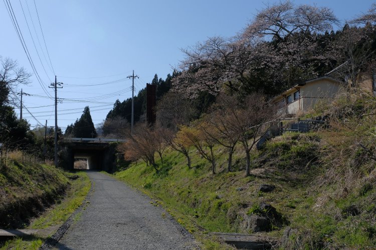 『峠の湯』脇に旧線跡のアプトの道がある。24年前までは畦道であった。前方は旧国道18号線。