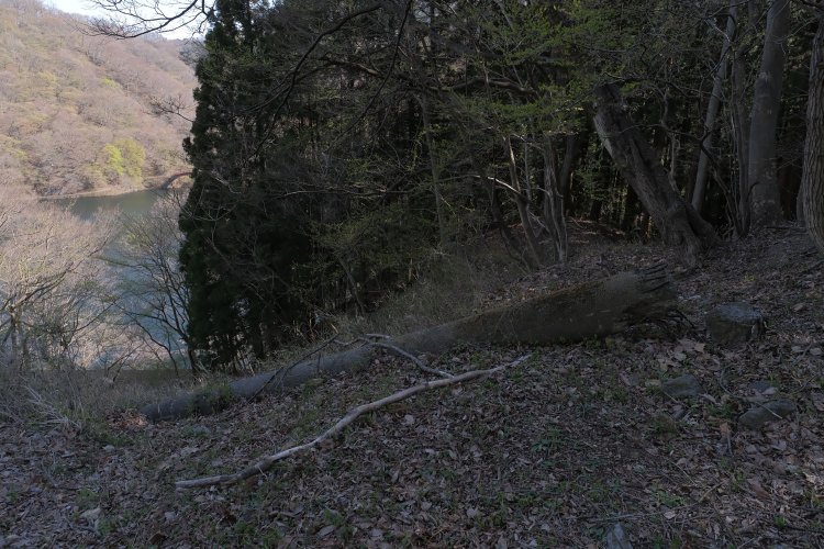 碓氷湖がチラッと望めたので小休止すると、コンクリート電柱が倒れていた。この電柱もアプト式時代に現役だったのだろうか。