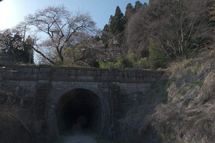 発掘された第一トンネルのポータル。石積みの重厚感に見惚れる。頭上の桜の木も良いアクセントだ。
