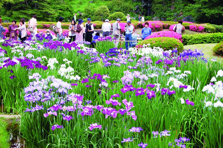 04_皇居東御苑 二の丸庭園 (27)