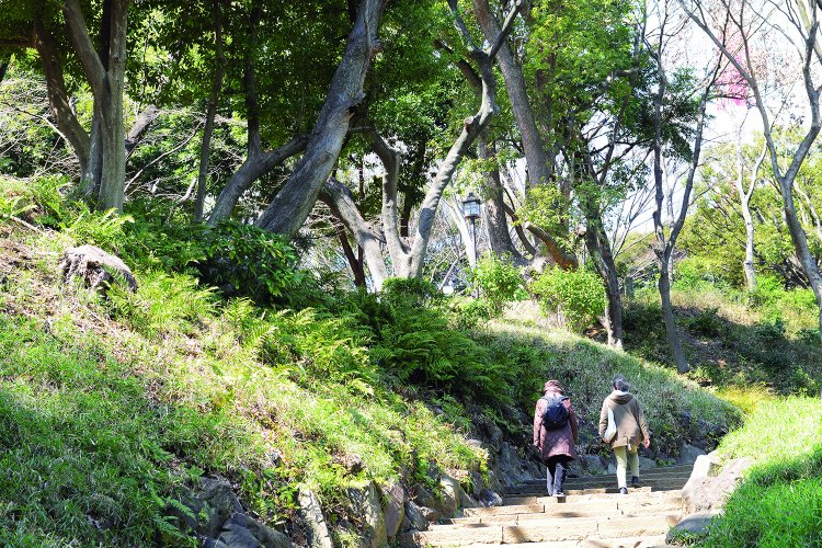 ４＿芝公園_丸山貝塚