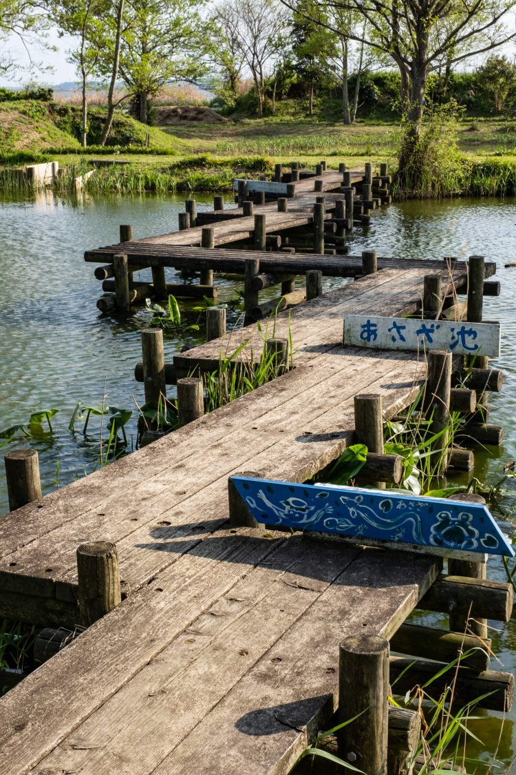 園内の池には自然観察用の木道がジグザグに延びている。
