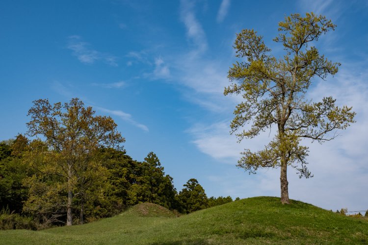 古墳時代中期の築造と推定される大生古墳群。