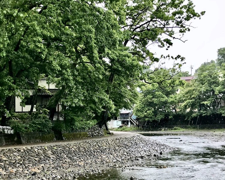 1978年の開店当初から変わらぬその佇まいは、すっかり飯能河原に溶け込んでいる。店名は周囲に茂るクヌギ、いわゆるどんぐりの木が由来だ。