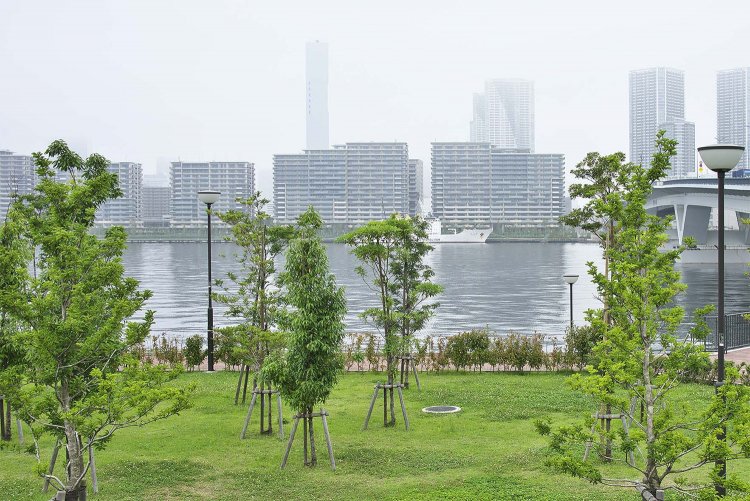 霧に霞む晴海の選手村。選手は試合５日前から試合後48時間だけ滞在できる。