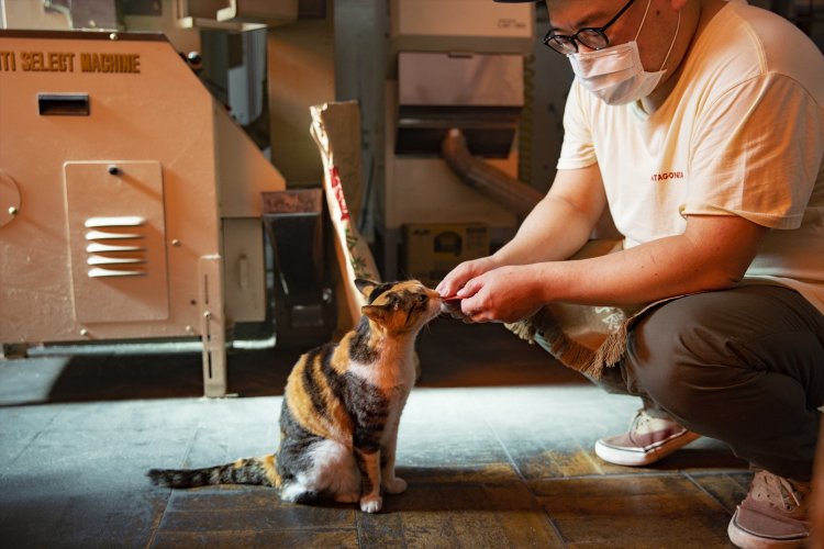 4代目の富田真司さんと仲良し。抱っこができるのは真司さんだけだ。
