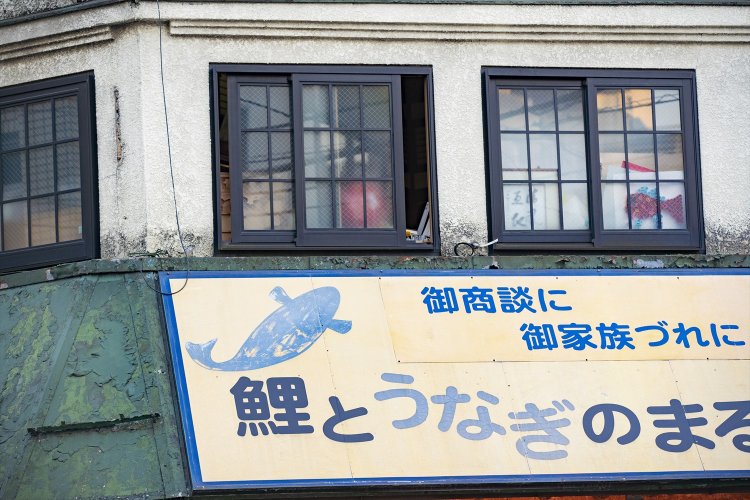 『まるます家』看板上を闊歩する猫情報をつかむが、遭遇できず。うーん残念。