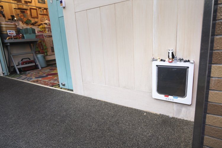 扉には閉店中も自由に出入りできるよう、かわいい猫ドアを設置。