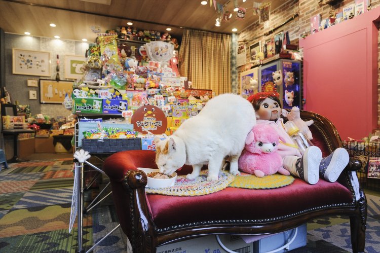 入り口のプチソファがお気に入り。