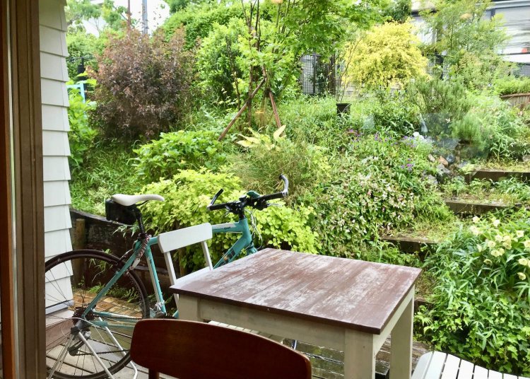 店内奥に借景のように広がる庭。ローズマリーやセージ、バジルといった地植えのハーブは料理にも。テラス席ならペット同伴可。