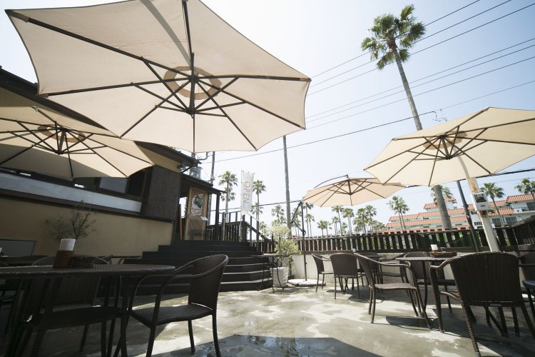 ヤシの木を見ながらテラスでビールをグイッと。