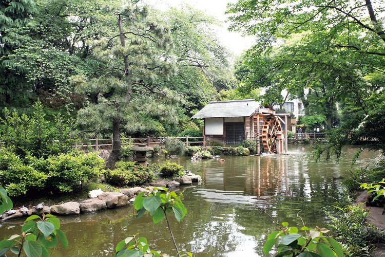 鍋島松濤公園（なべしましょうとうこうえん）