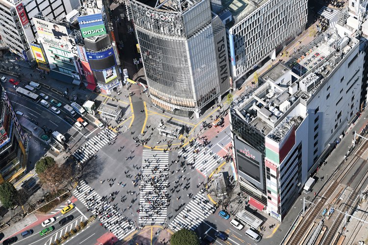 SHIBUYA SKYから見たスクランブル交差点。
