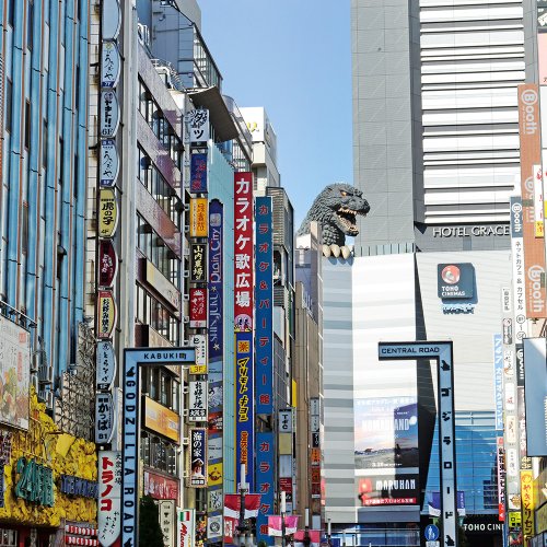 新宿駅からはじめる新宿散歩 〜西のオフィス街、東の歓楽街。街の歴史も楽しめるエリア〜